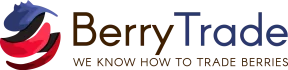 BerryTrade - usługi remontowo budowlane PaketPro